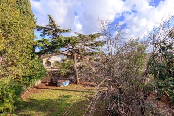 13Montemezzi [desy]